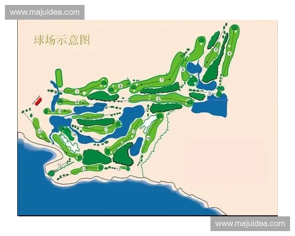 球场维护刷使用技巧与高效清洁方案全面解析 球场维护刷使用技巧与高效清洁方案全面解析